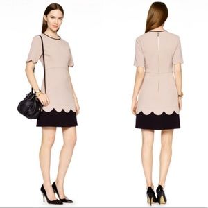 NWOT Kate Spade Sponge Crepe Scallop Dress Sz 6